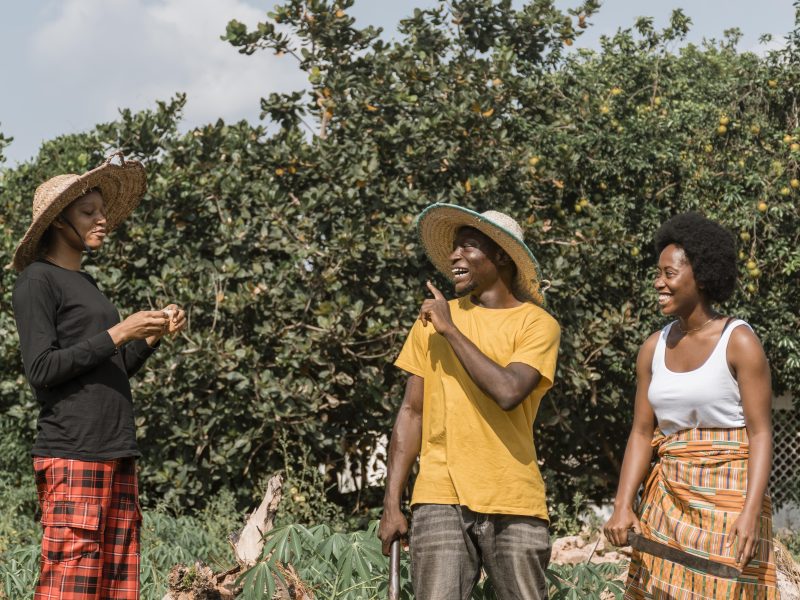 High-Paying Fruit-Picking Jobs in the UK with Visa Sponsorship